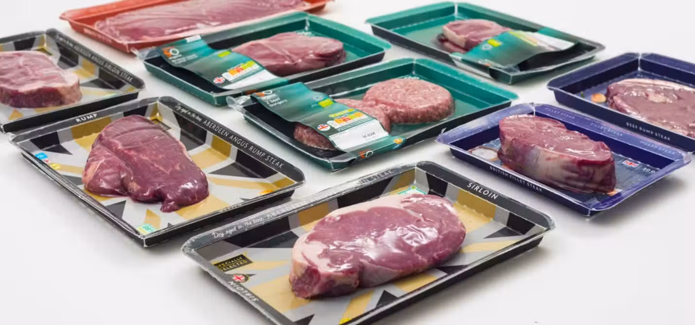 چسب بین لایهای SK Functional